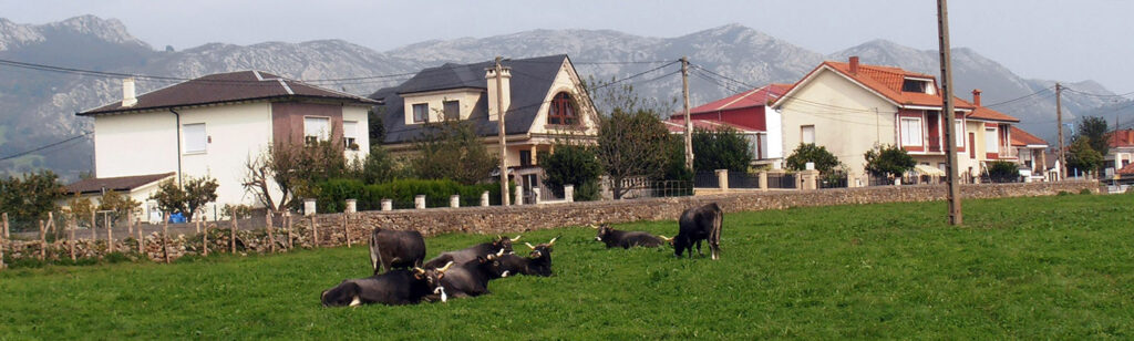 San Felices de Buelna - Jaín